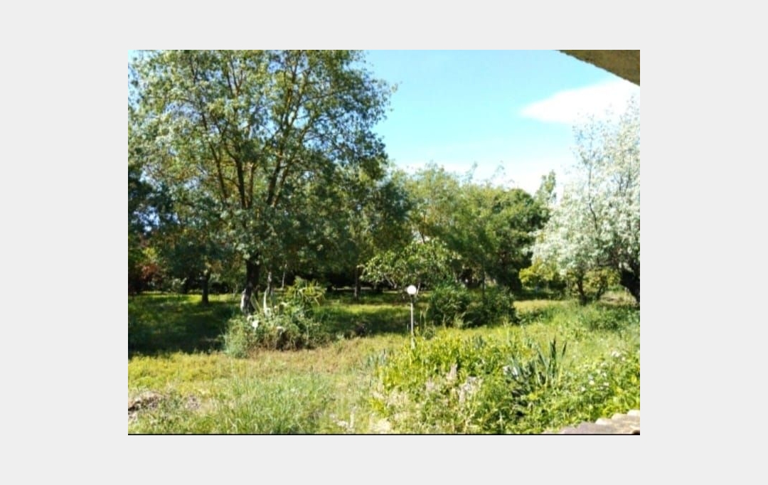 Annonces LUNEL : Domaines / Propriétés | MAUGUIO (34130) | 500 m2 | 1 514 000 € 